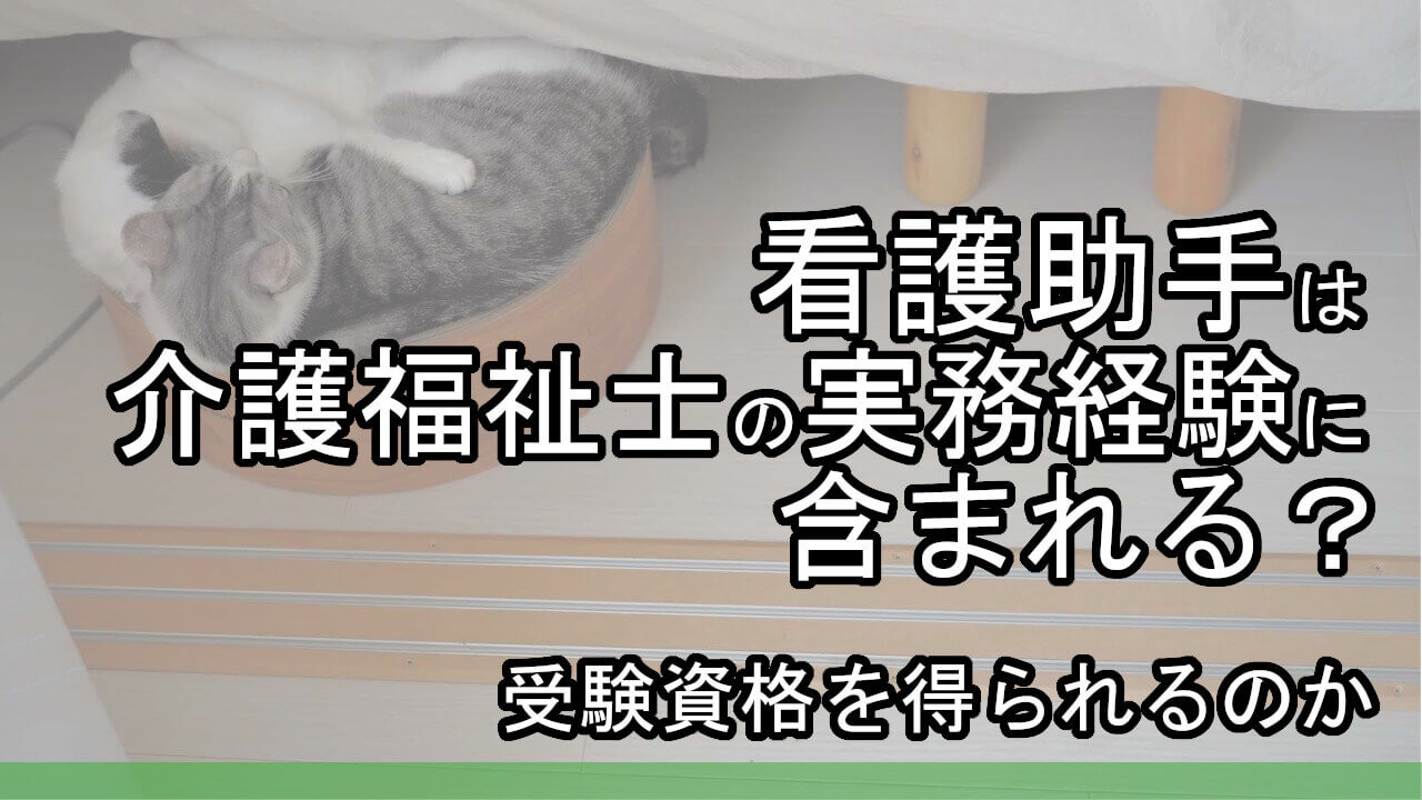 介護福祉士の受験資格に看護助手は含まれる 実務経験になるのか カイゴのセカイ 元人材業界トップ営業マンが介護の世界を教えます