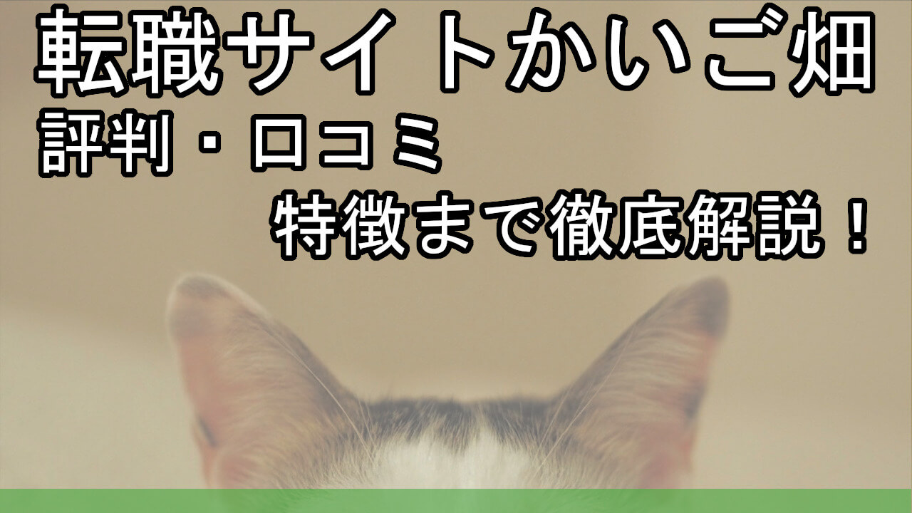 かいご畑の評判 口コミ 特徴まで徹底解説 転職サイト カイゴのセカイ 元人材業界トップ営業マンが介護の世界を教えます