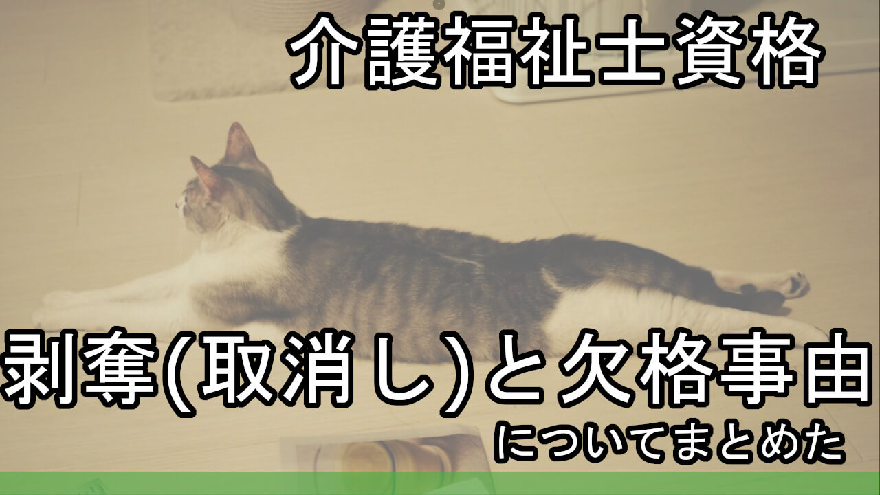 介護福祉士資格の剥奪 取り消し と欠格事由についてまとめた カイゴのセカイ 元人材業界トップ営業マンが介護の世界を教えます