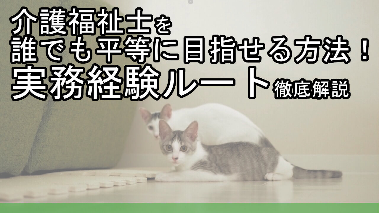 働きながら介護福祉士になるには実務経験ルート 社会人でも取得を目指せる カイゴのセカイ 元人材業界トップ営業マンが介護の世界を教えます