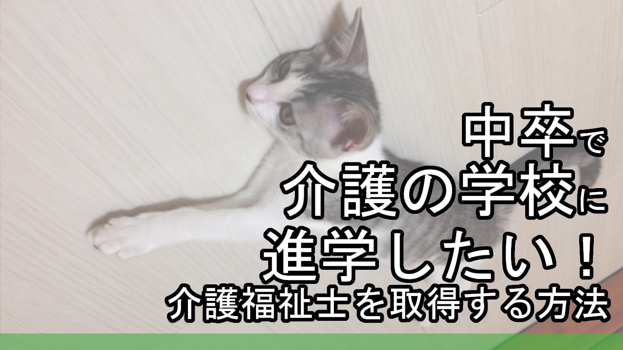 中卒で介護福祉士になるには 学歴に関係なく給料アップしたいなら カイゴのセカイ 元人材業界トップ営業マンが介護の世界を教えます