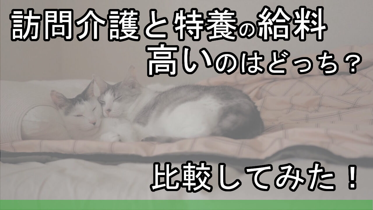 訪問介護と特養の給料 高いのはどっち 比較してみた カイゴのセカイ 元人材業界トップ営業マンが介護の世界を教えます