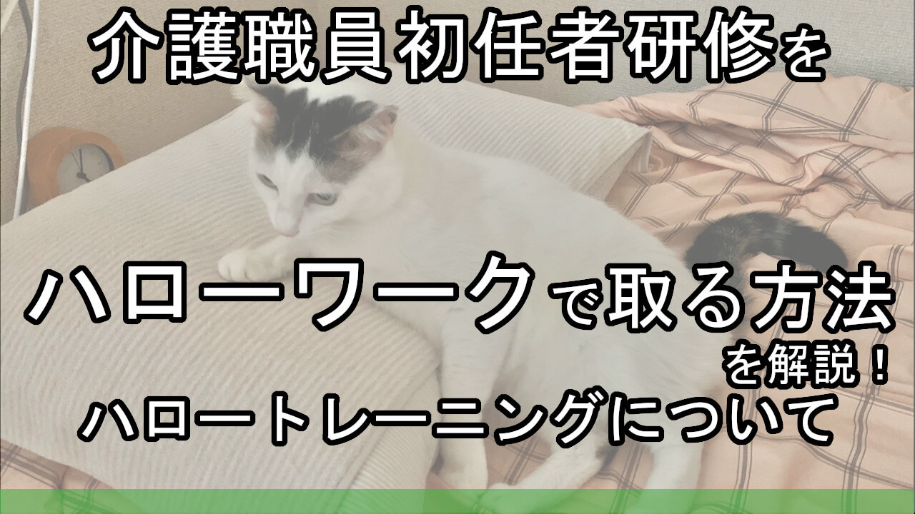 介護職員初任者研修をハローワークで取る２つの方法 職業訓練の落とし穴とは カイゴのセカイ 元人材業界トップ営業マンが介護の世界を教えます