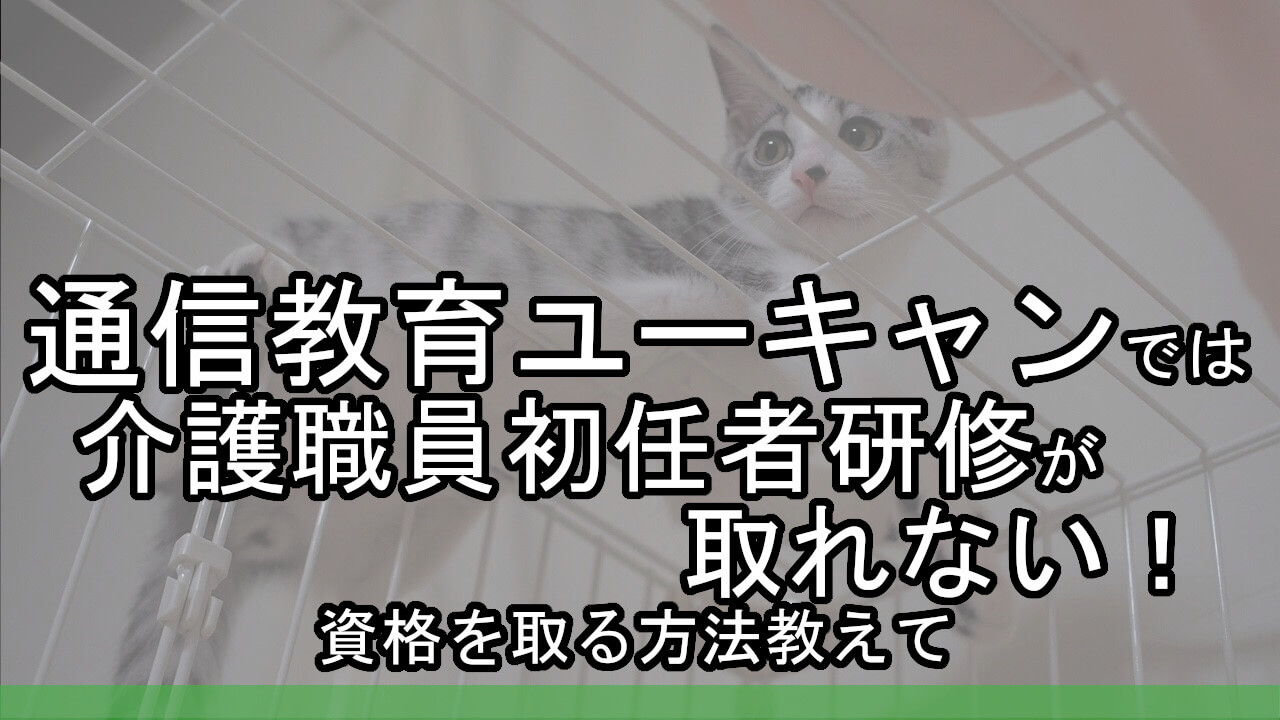 通信教育ユーキャンでは介護職員初任者研修が取れない 資格を取る方法教えて カイゴのセカイ 元人材業界トップ営業マンが介護の世界を教えます