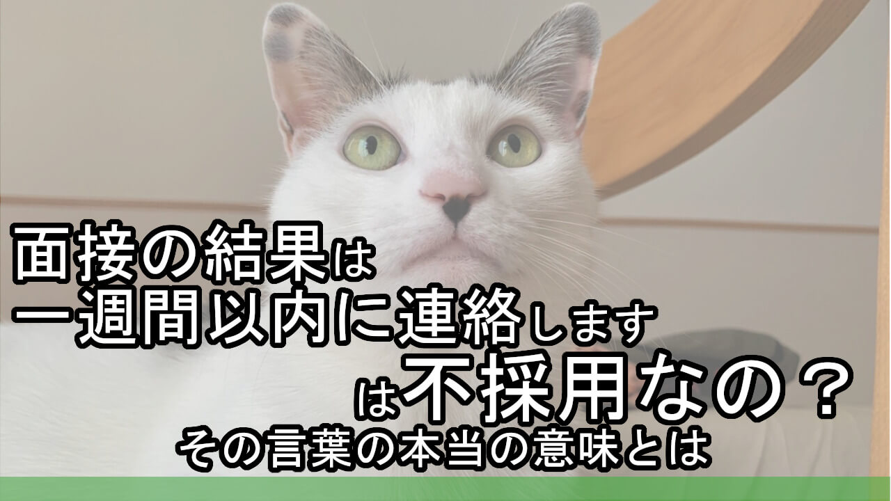 面接の結果は一週間以内に連絡します は不採用なの その言葉の本当の意味とは カイゴのセカイ 元人材業界トップ営業マンが介護の世界を教えます