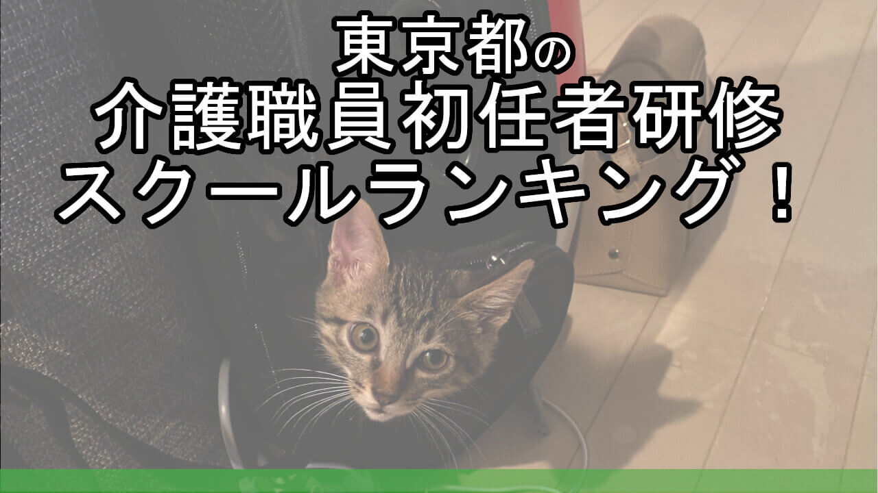 東京都の介護職員初任者研修スクールランキング １０選 安いコースが見つかる カイゴのセカイ 元人材業界トップ営業マンが介護の世界を教えます