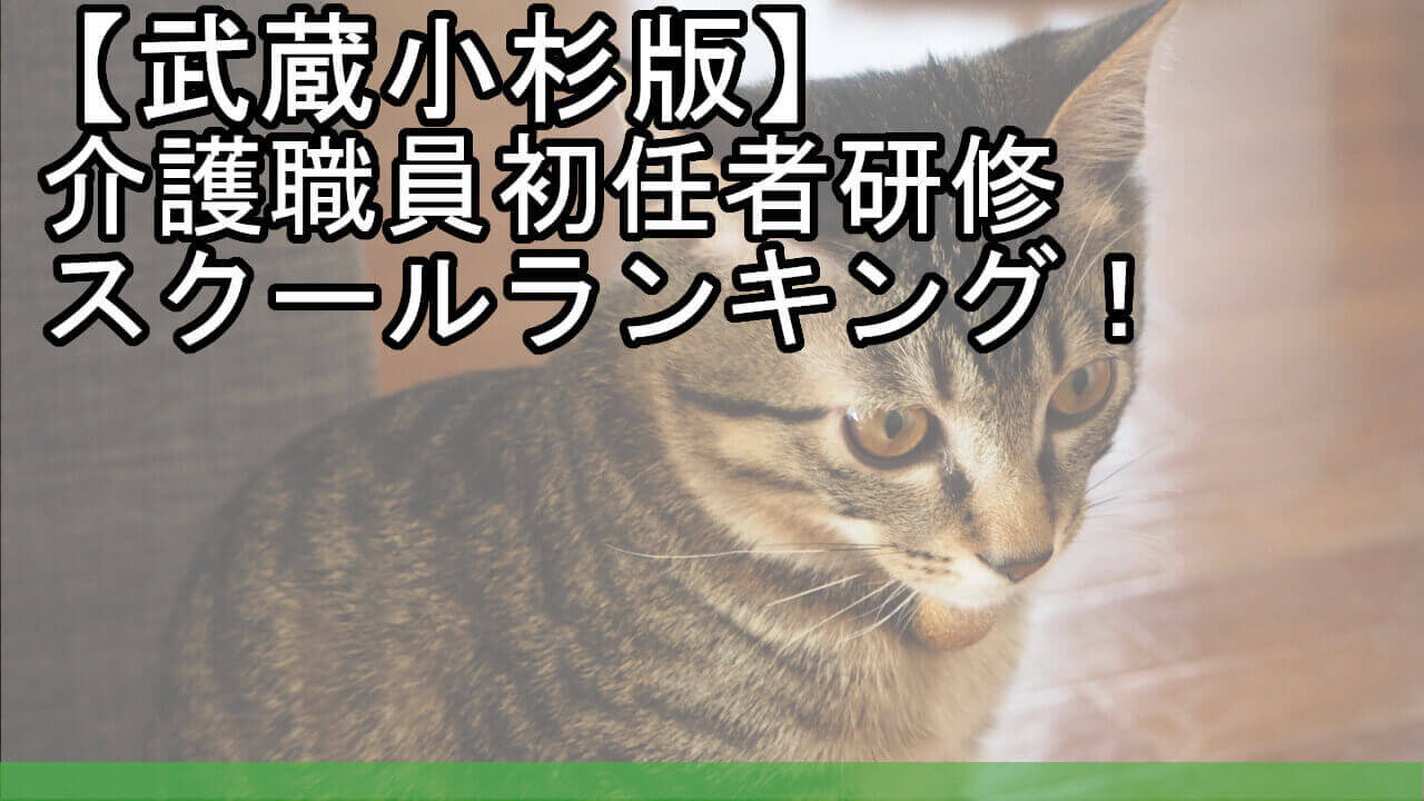 武蔵小杉版 介護職員初任者研修スクールランキング 安くておすすめは カイゴのセカイ 元人材業界トップ営業マンが介護の世界を教えます