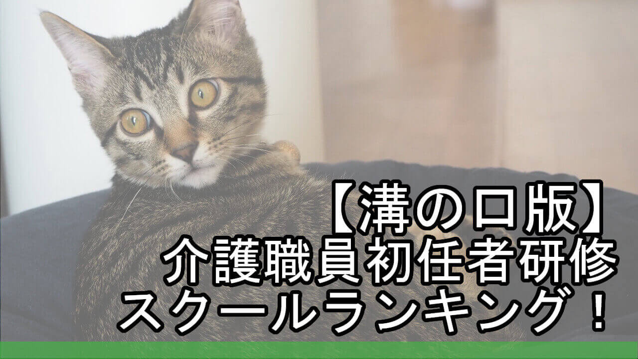 溝の口版 介護職員初任者研修スクールランキング 安くておすすめは カイゴのセカイ 元人材業界トップ営業マンが介護の世界を教えます