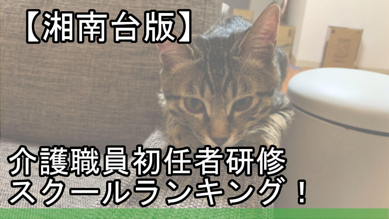 湘南台版 介護職員初任者研修スクールランキング 安くておすすめは カイゴのセカイ 元人材業界トップ営業マンが介護の世界を教えます